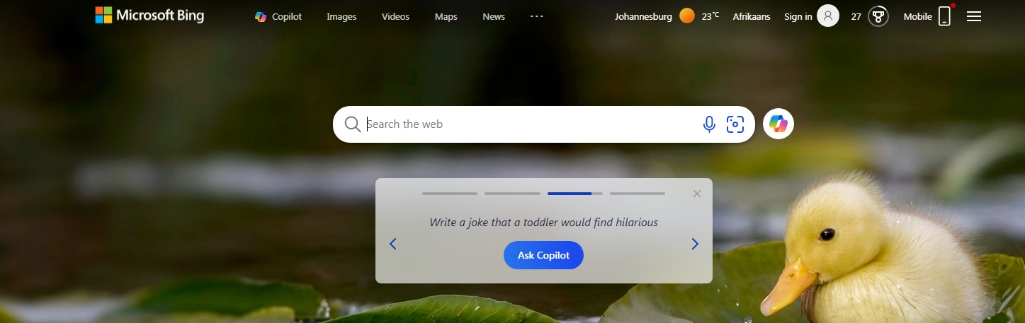 Microsoft Bing search engine